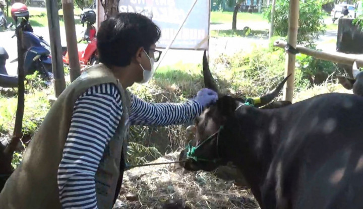 Hewan Kurban di Tangsel Dipastikan Tak Terjangkit Penyakit