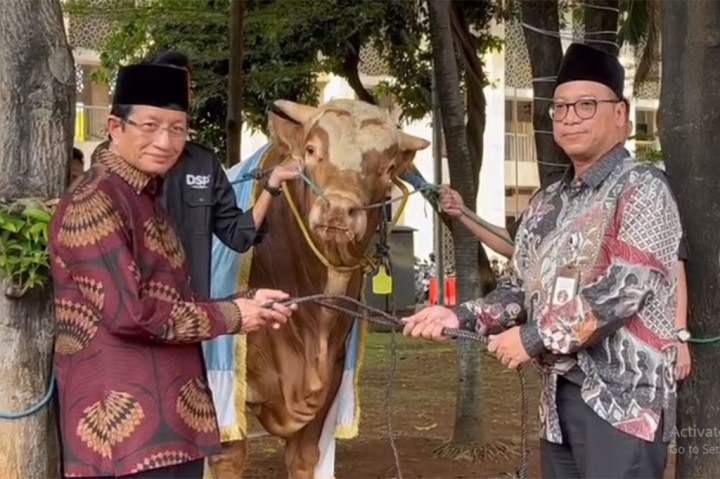 Masjid Istiqlal Terima Sapi Kurban Presiden dan Wapres