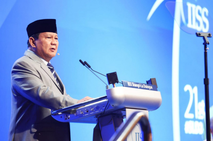 Prabowo Dinilai Tak Bakal Fokus Pembangunan ke IKN