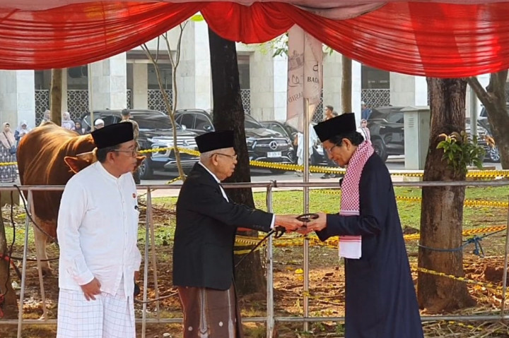 Wapres Wakili Jokowi Serahkan Hewan Kurban di Masjid Istiqlal