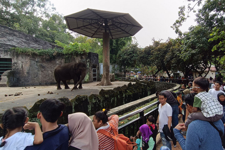 Info Jam Buka Kebun Binatang Ragunan Selama Lebaran Iduladha 2024