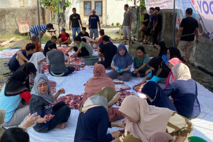 Cacing Hati Ditemukan pada Puluhan Hewan Kurban di Bantul