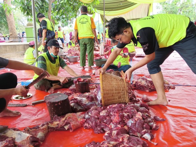 Simak, Ini Batas Waktu Penyembelihan Hewan Kurban Iduladha 2024 sesuai Ketentuan Kemenag