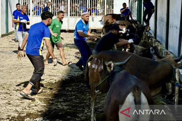Pemkot Banjarmasin Pakai Kendaraan Khusus Tangani Limbah Hewan Kurban