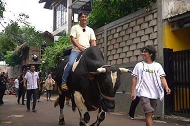 Irfan Hakim Sumbangkan Kepala Sapi ke IPB