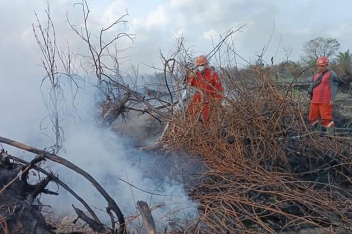 BPBD Bima Minta Warga Tak Bakar Lahan