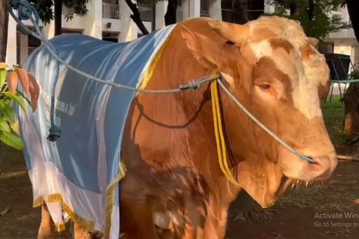 Potong 72 Hewan Kurban, Masjid Istiqlal Distribusikan ke 25 Ribu Jiwa