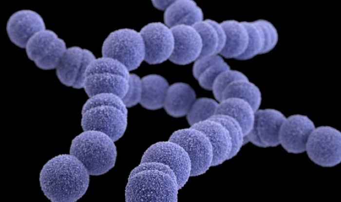 Infeksi Bakteri Pemakan Daging Merebak di Jepang, Bagaimana Pencegahannya?