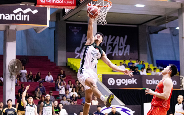 Borneo Hornbills Jinakkan Rajawali Medan