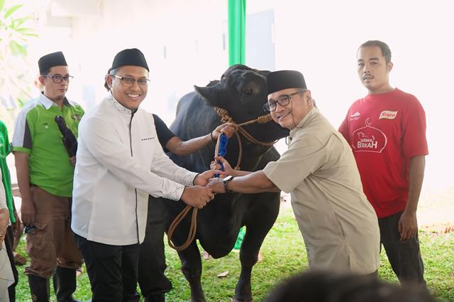 Peringati Hari Raya Iduladha, Pegadaian Salurkan 822 Ekor Hewan Kurban untuk Masyarakat