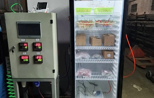 Perpanjang Umur Simpan Buah dan Sayur, Peneliti BRIN Kembangkan Teknologi CAS