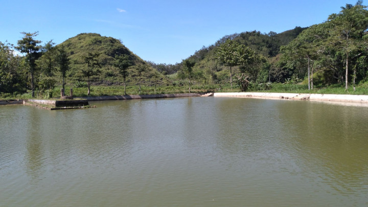 Kemarau Mulai Melanda Gunungkidul dan Disusul 3 Kabupaten Lain
