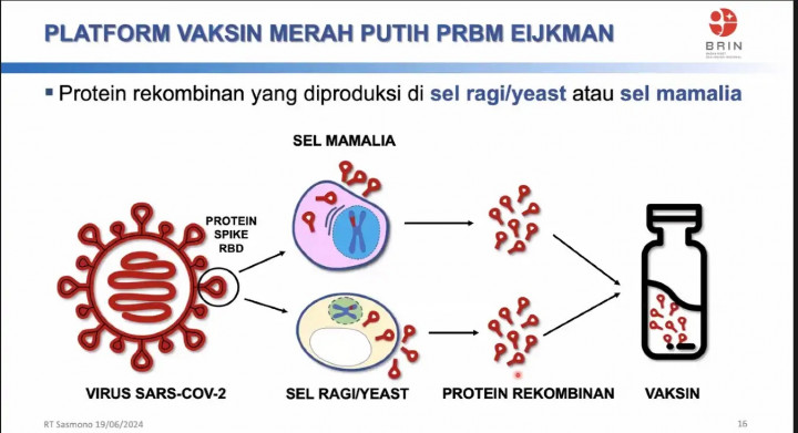 Peneliti Indonesia Kaji Dampak dan Potensi Vaksin Dalam Negeri
