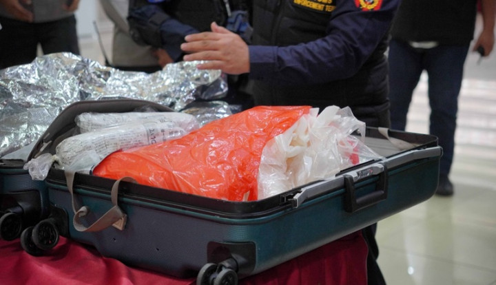 213 Ribu Ekor Lobster Gagal Diselundupkan selama Januari-Juni 2024