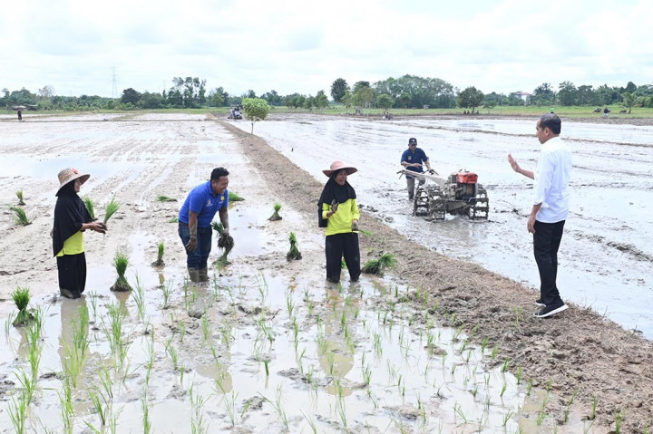 Respons Potensi Kekeringan Panjang, Jokowi Tinjau Pompanisasi di Kotawaringin Timur