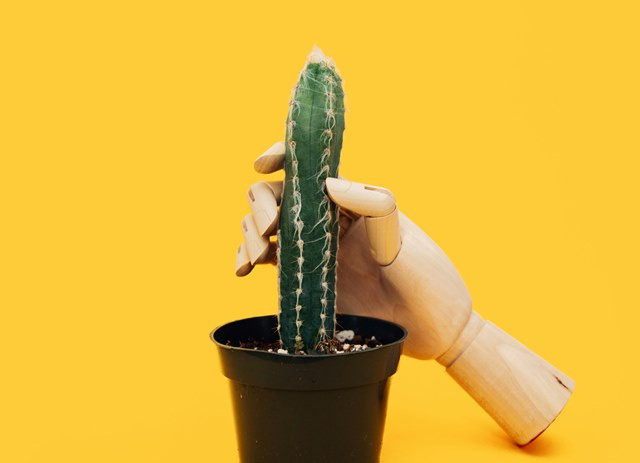 Segera bawa ke rumah sakit saat penis terasa sangat sakit, bisa jadi penis patah. (Foto: Ilustrasi/Dok. Unsplash.com)