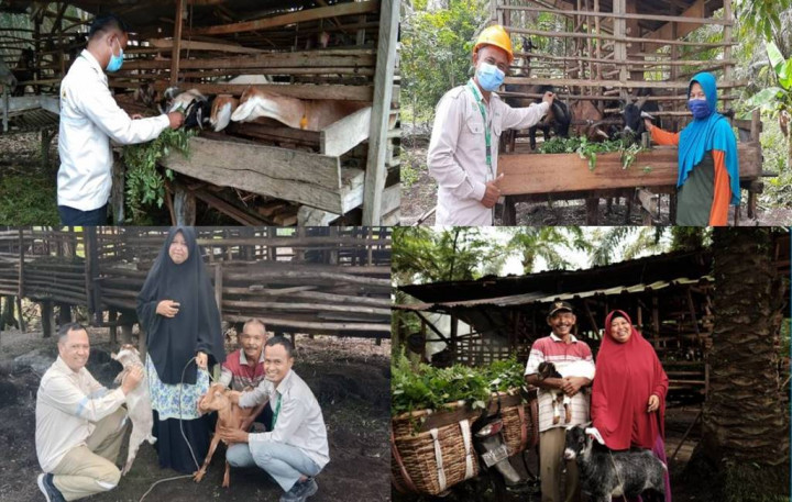 Dukung Pertumbuhan Berkelanjutan, Apical Group Perkuat Pemberdayaan UKMK