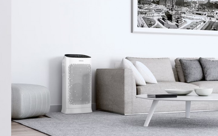 Adopsi Hewan? Pakai Cara Ini Supaya Rumah Bersih dan Sehat