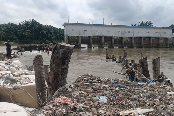Bendung Irigasi Rusak, Ribuan Hektar Sawah Terbengkalai