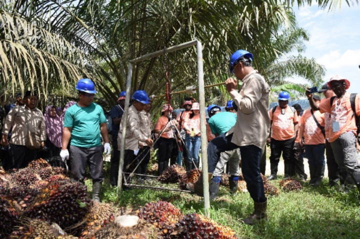 17 Negara Sehaluan Pelajari Praktik Berkelanjutan Kelapa Sawit di Riau