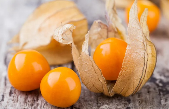 Ketahui! Ini 8 Manfaat Buah Ciplukan untuk Kesehatan Tubuh