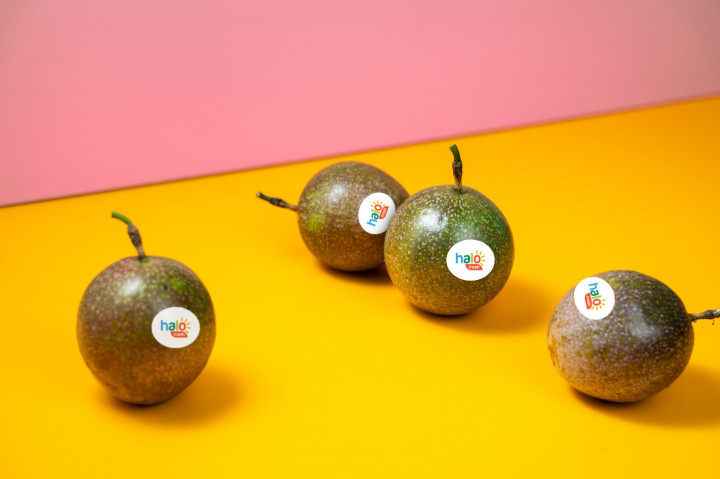 Inovasi <i>Startup</i> Dorong Konsumsi Buah dan Sayur Keluarga Indonesia