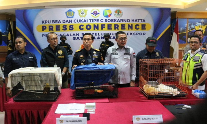 Coba Selundupkan Satwa Langka Via Bandara Soetta, Aktor Bollywood Ditangkap