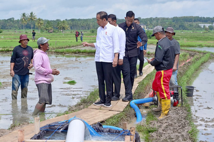 Presiden Tinjau Pelaksanaan Bantuan Pompa Irigasi di Sulawesi Selatan