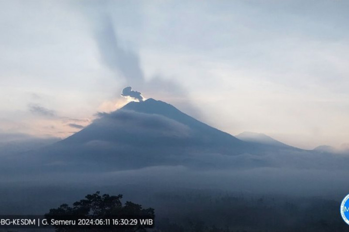 Gunung Semeru Mengalami 159 Kali Gempa Letusan