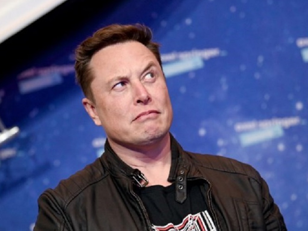 CEO Tesla Elon Musk. Foto: AFP/Britta Pedersen.