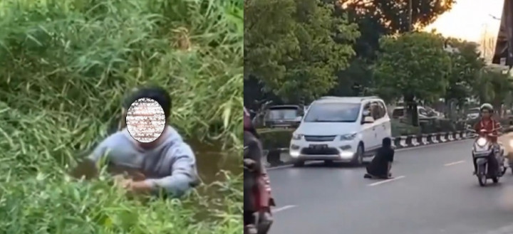 44 Orang di Banjarmasin Mabuk Kecubung sampai Masuk RSJ, Waspadai Efek Halusinasi sampai Jadi 'Zombi'