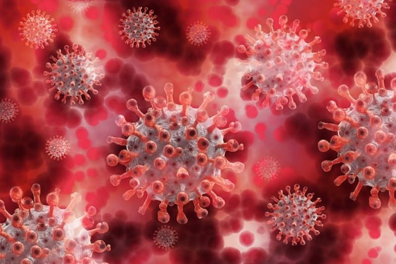 Ilustrasi Virus Covid-19 (Foto: Gerd Altmann dari Pixabay)