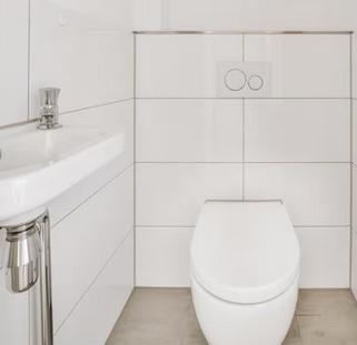 Bikin Jengkel! Ini 5 Penyebab WC Mampet