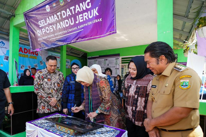 Ketum Pembina Perjuangkan Penguatan Posyandu Masuk RPJMN 2025-2029