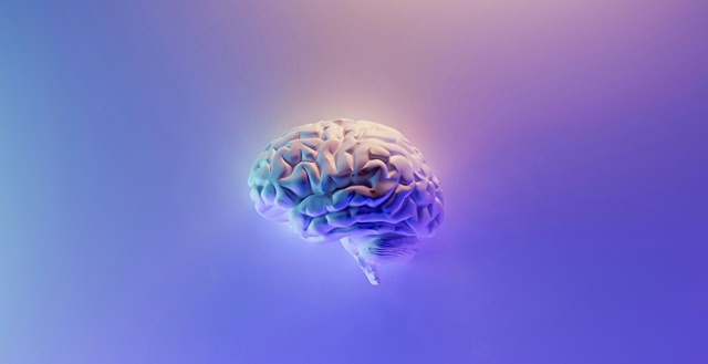 3 Berita Terpopuler Gaya: Demam Berdarah dan Pengaruhnya pada Otak Hingga Kolagen