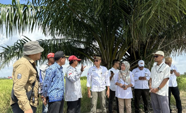 Kementan Bakal Tingkatkan Produksi Pangan Melalui Pemanfaatan Pengairan