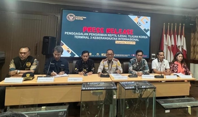 Selundupkan Puluhan Reptil di Koper, WN Asal Korea Selatan Ditangkap di Bandara Soetta