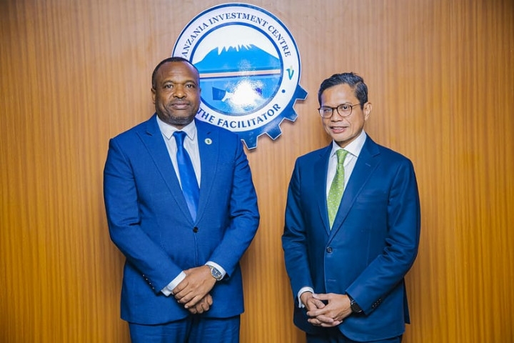 Dorong Partisipasi IAF ke-2, Wamenlu RI Kunjungi Tanzania