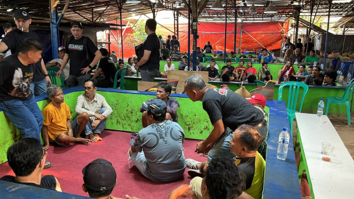 Polda Metro Jaya Gerebek Arena Judi Sabung Ayam di Bekasi