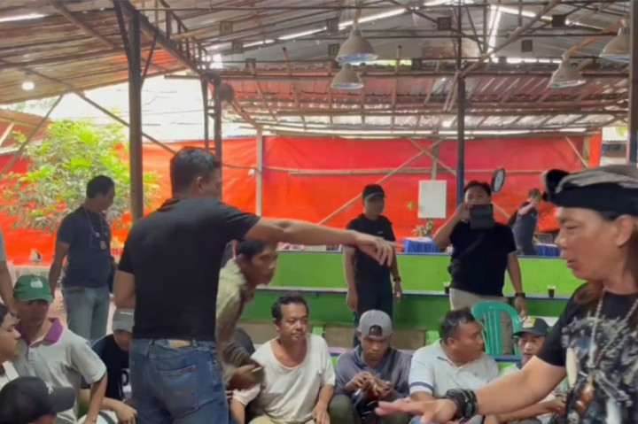 Polda Metro Jaya Gerebek Judi Sabung Ayam di Bekasi