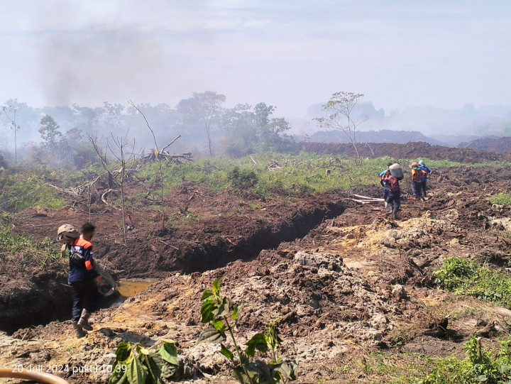 7 Hektare Lebih Lahan di Aceh Barat Terbakar