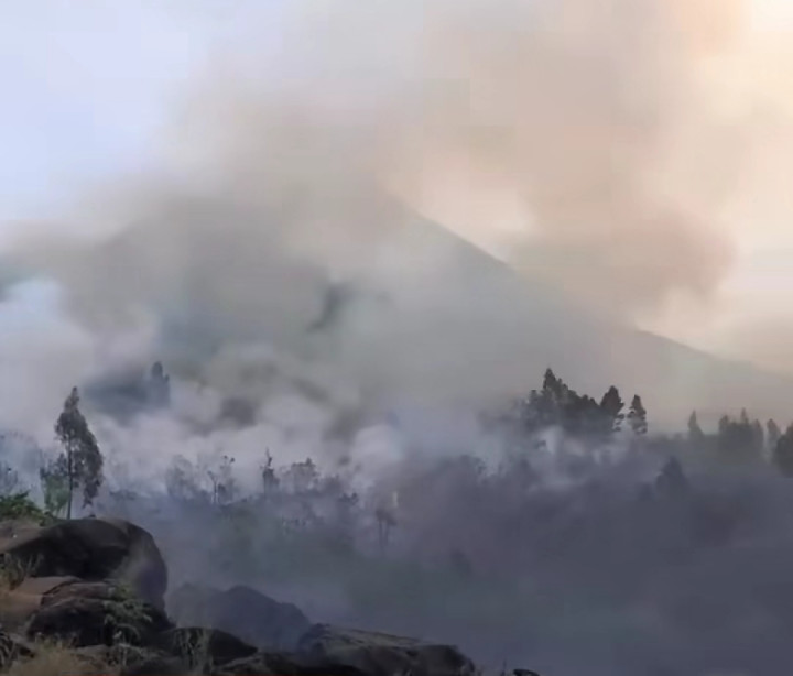 Bukit Pager Watu Lereng Gunung Arjuno Terbakar