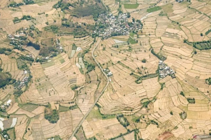 Sejumlah Daerah Alami Kekeringan Usai Tiga Bulan Tanpa Hujan