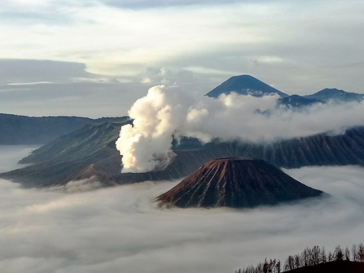 Wisatawan Dilarang Berkemah di Seluruh Kawasan Gunung Bromo, Kenapa?