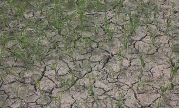 34 Desa di Jepara Rawan Kekeringan