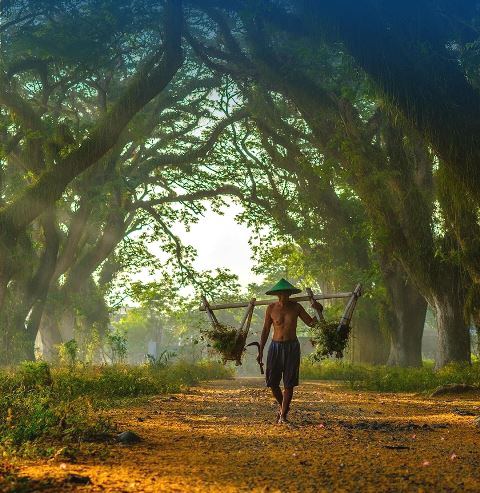 Cobain, Yuk! Ini 5 Aktivitas Seru di Desa Wisata Osing Kemiren