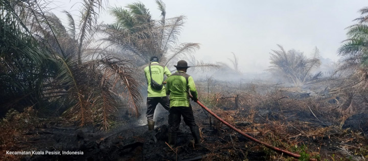 12 Hektare Lahan di Nagan Raya Terbakar