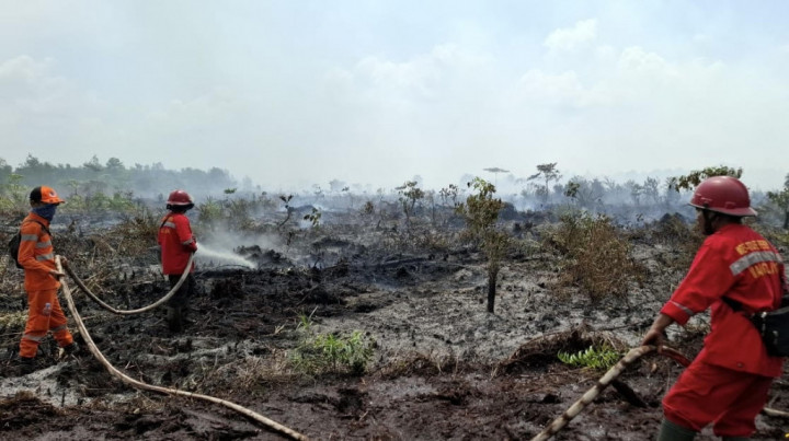 Karhutla dan Kebakaran Permukiman Mulai Marak di Kalsel