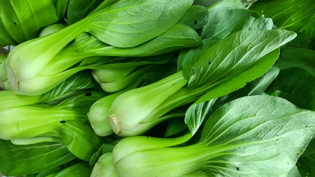 Tak Hanya Bisa Cegah Kanker, Ini 7 Manfaat Pakcoy bagi Kesehatan