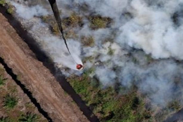 5 Hektare Lahan di Muara Enim Sumsel Terbakar